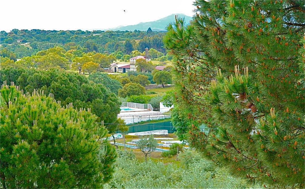 Ferienwohnung Quinta Da Bela Vista Póvoa e Meadas Zimmer foto