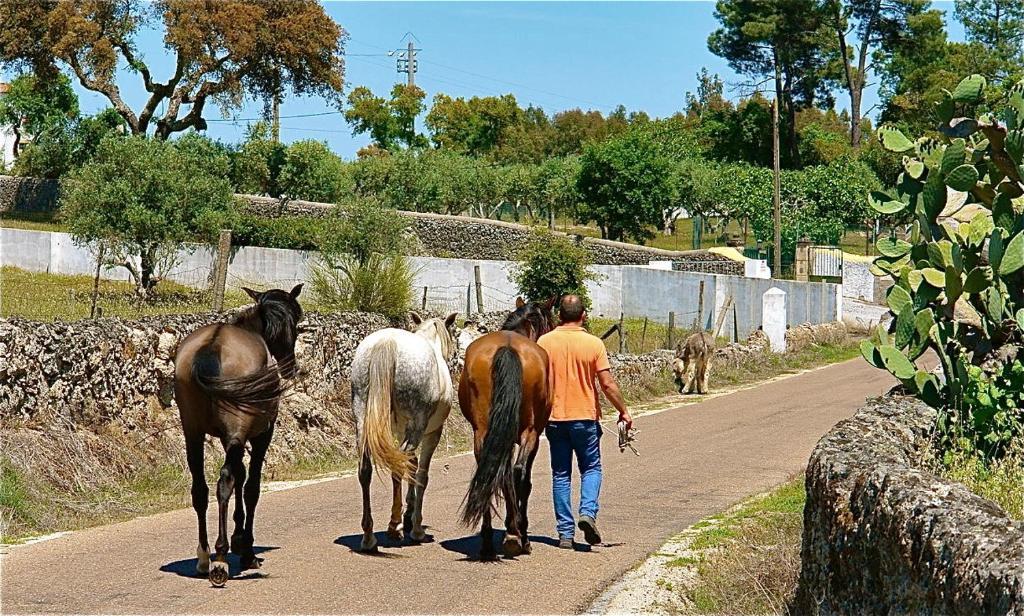 Ferienwohnung Quinta Da Bela Vista Póvoa e Meadas Exterior foto
